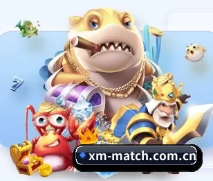 熊猫体育围绕看球场景设计的核心服务 - 多运动项目内容板块