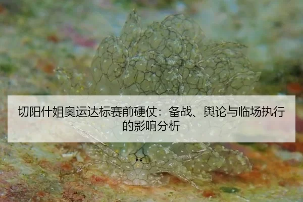切阳什姐奥运达标赛前硬仗：备战、舆论与临场执行的影响分析